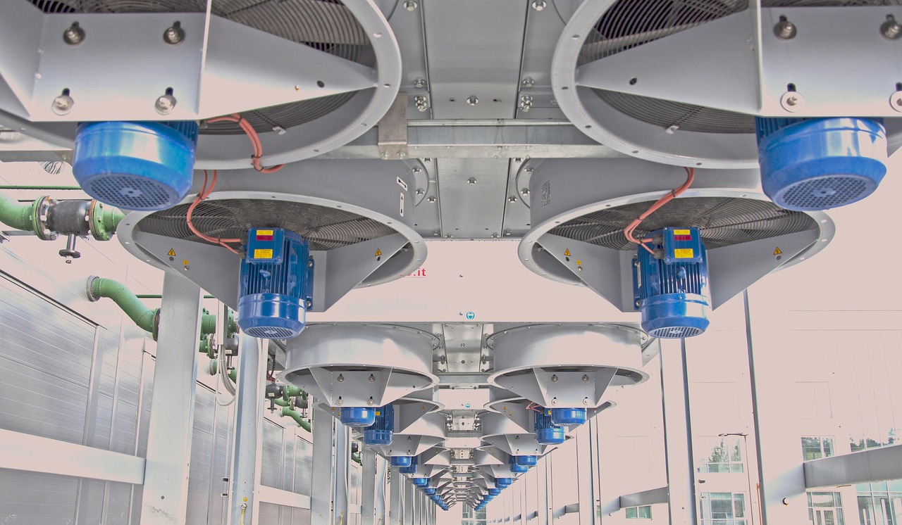 香烟成瘾：为什么戒烟如此困难？