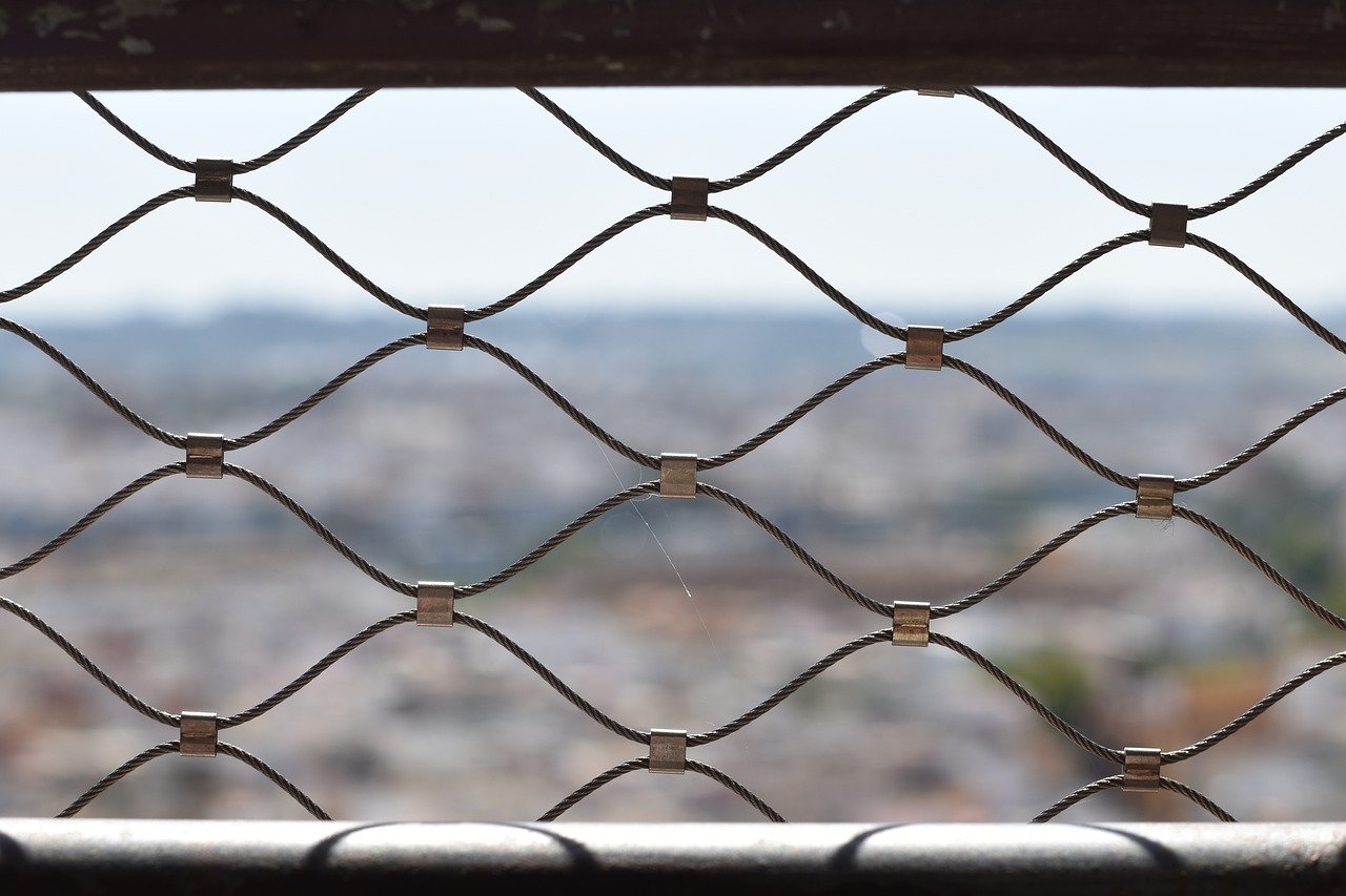 太极熊猫2：西安书画平台代理