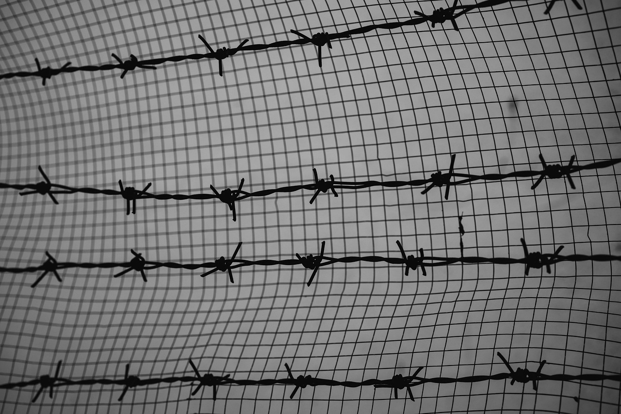 DDOS网页端|优酷APP详情下载教程看电视剧软件