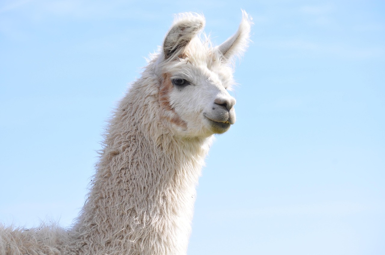 摩鑫如何将企业宣传创意融入到日常营销中来？