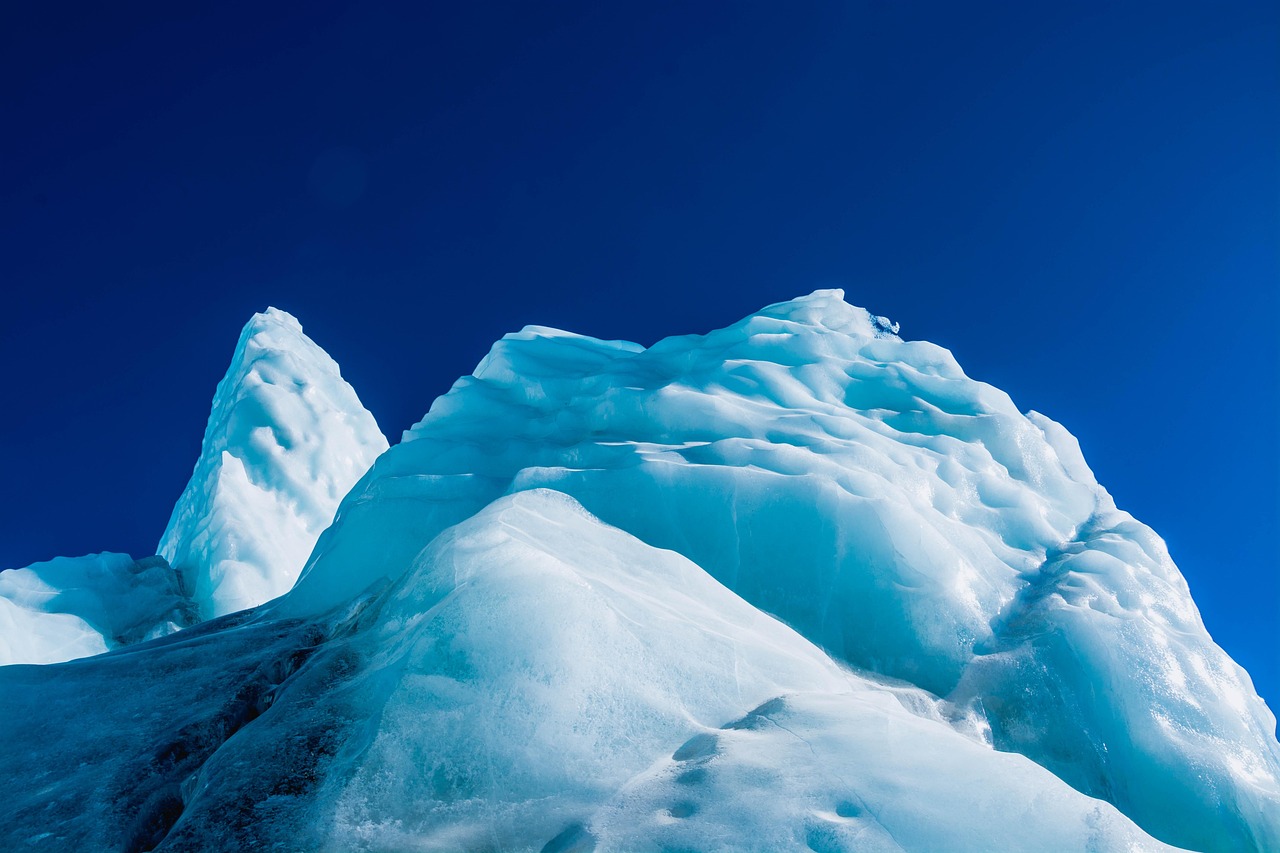 实名支付宝买卖:详情下载教程和生活爱辽宁app