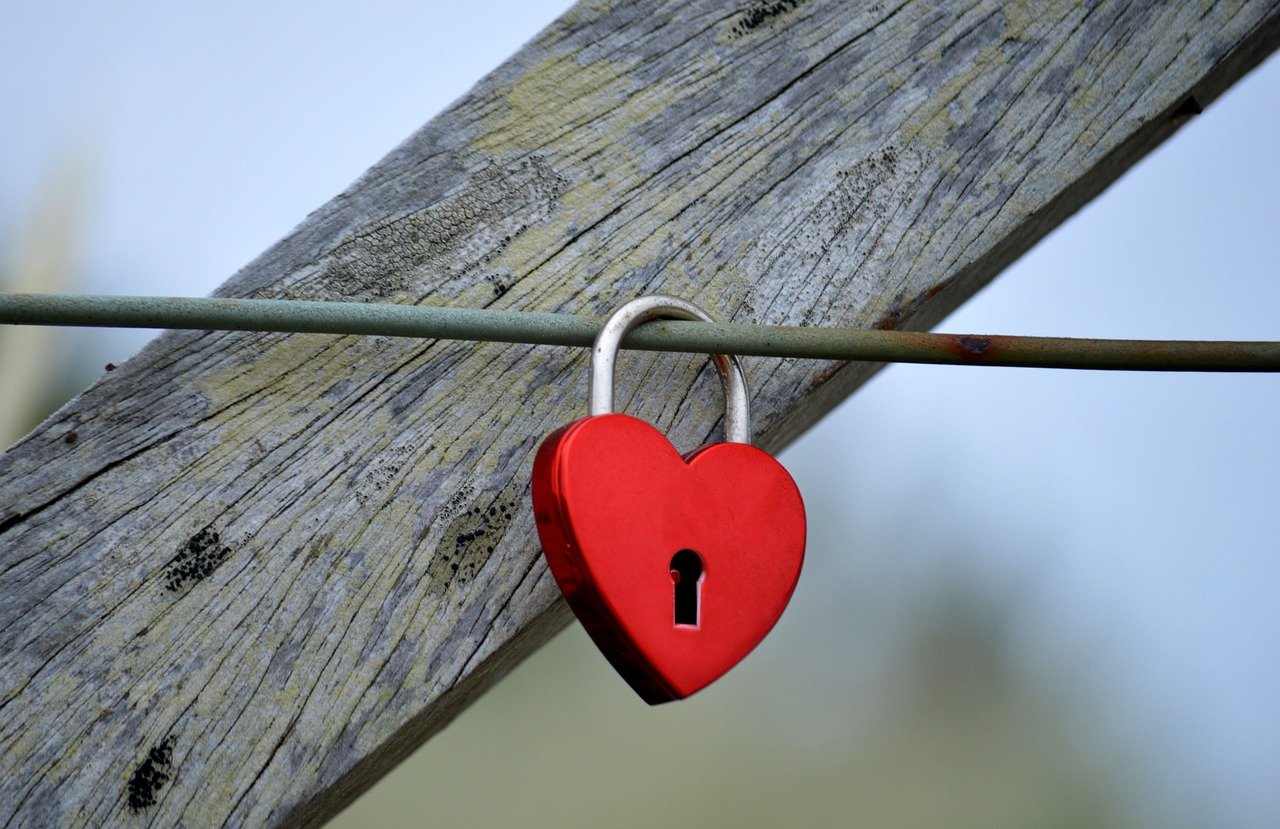 ORIS豪利时莫斯科：大圣旗舰店app详情下载教程